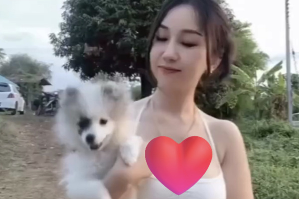 Can I pet its too?