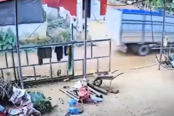 Family dances like monkeys after their child is run over by a truck