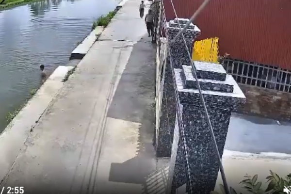 A child goes missing after diving into a canal across from his house.