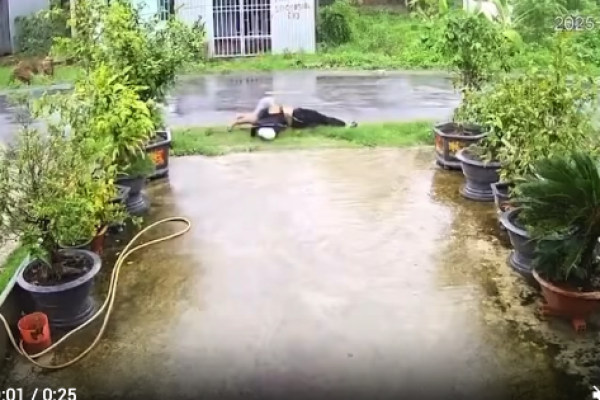 A wild electric cable hits a motorbike: 2 dead
