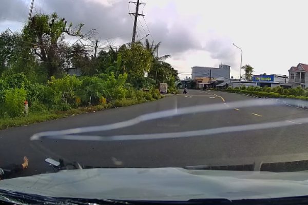 Mother and child hit while crossing road without checking