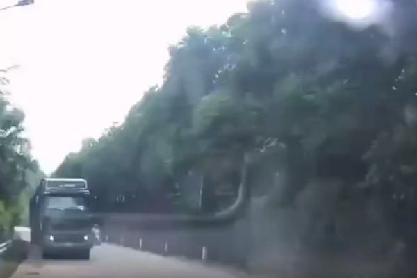 A motorbike attempts a dangerous overtaking: bad luck, one dead and one seriously injured